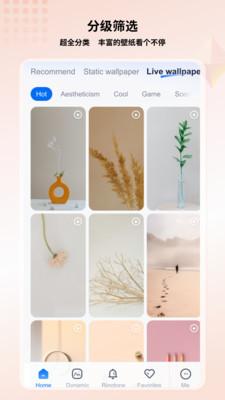 高清壁纸小组件  v4.5.2
