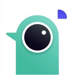 遥望壁纸安卓版 