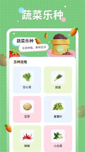 蔬菜乐园