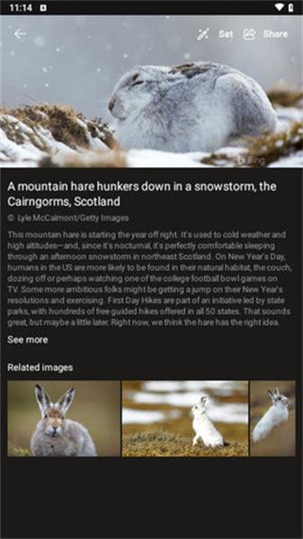 必应壁纸手机版  v5.1.1