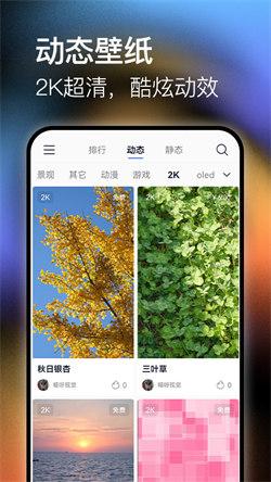极壁纸  v5.3.2