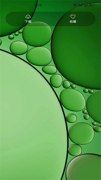 白叶壁纸  v4.4.2