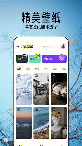倾心壁纸