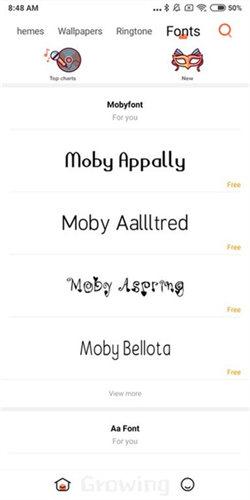 小米主题壁纸国际版  v5.5.3