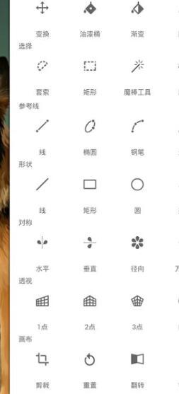 painter中文版