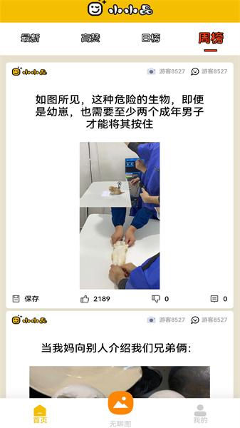 小小品