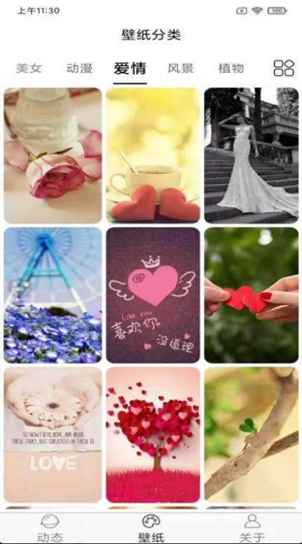 飞花动态壁纸  v5.4.2