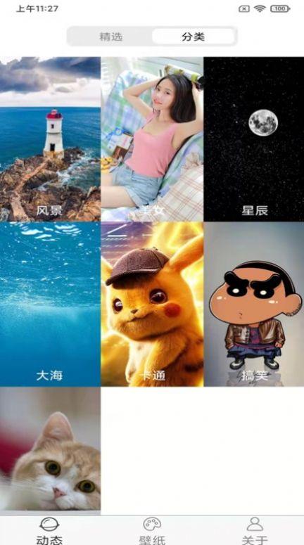 飞花动态壁纸  v5.4.2