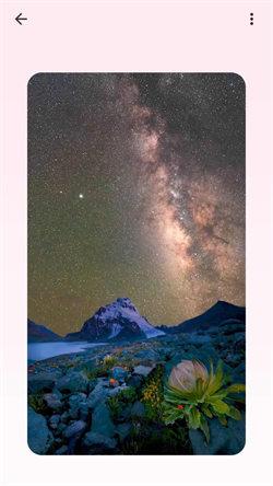 吐司壁纸  v6.1.4