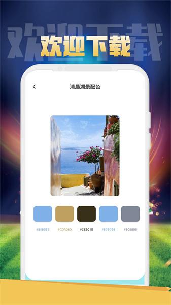 DFZQ颜色搭配
