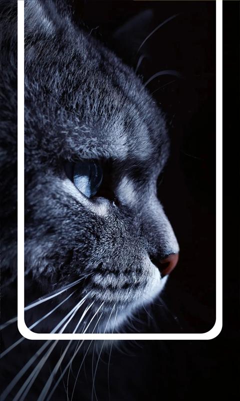 多美图文壁纸大全  v6.1.1