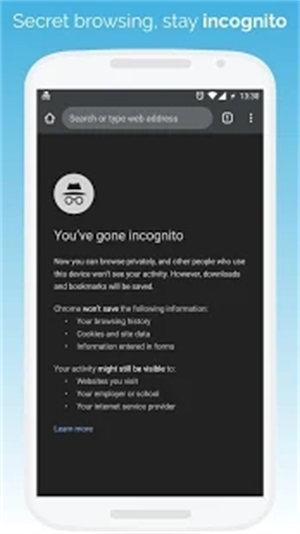 kiwibrowser浏览器
