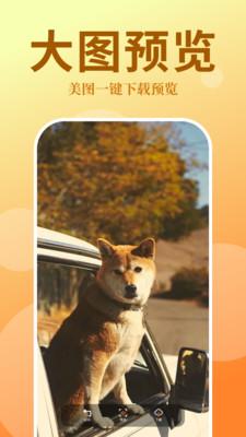 泡泡壁纸最新版  v3.3.3