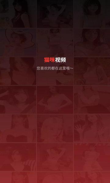 猫咪视频剪辑