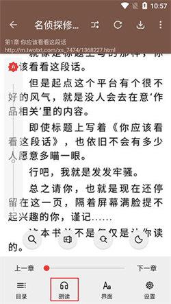 开源小说网站