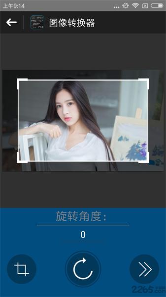 图像转换器