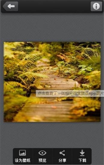 百度动态壁纸  v5.3.4