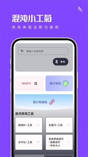 混沌小工菊