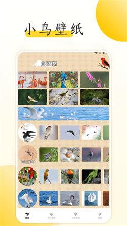 小鸟壁纸大全  v5.0.2