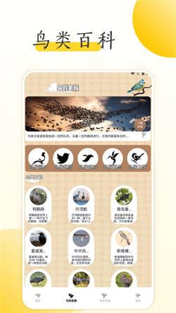 小鸟壁纸大全  v5.0.2