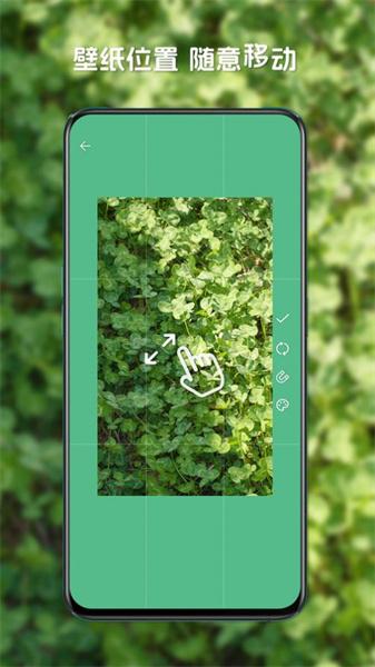 星咩视频壁纸  v5.2.4
