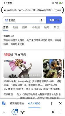狐猴手机浏览器