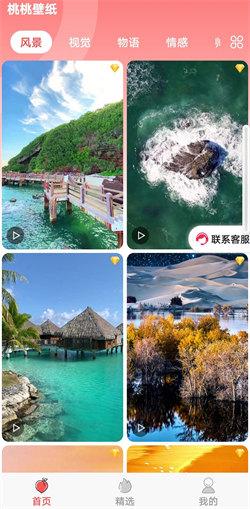 桃桃壁纸  v6.5.4