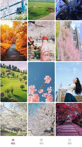 唐彩壁纸  v6.4.1