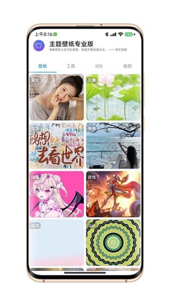 主题壁纸专业版  v6.5.3