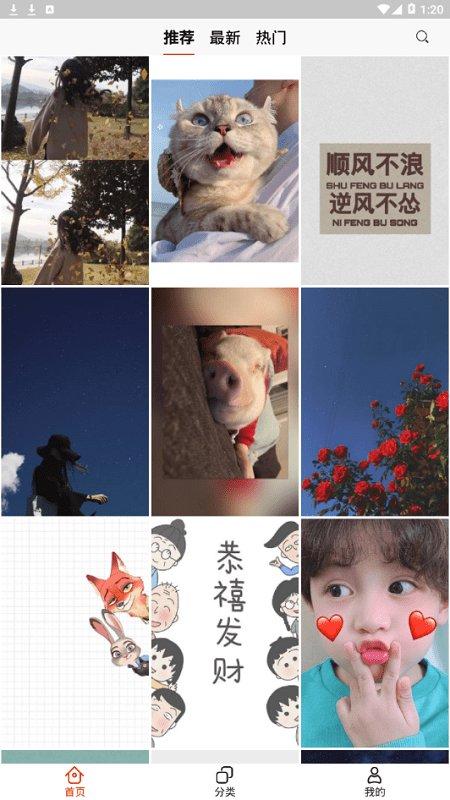 啵乐壁纸  v3.5.4