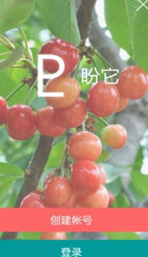 盼它