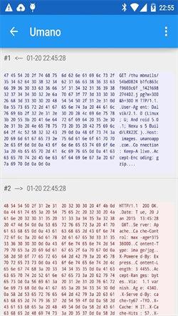 Packet Capture