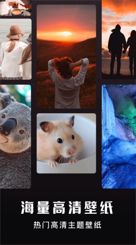 手机主题壁纸秀  v5.5.1