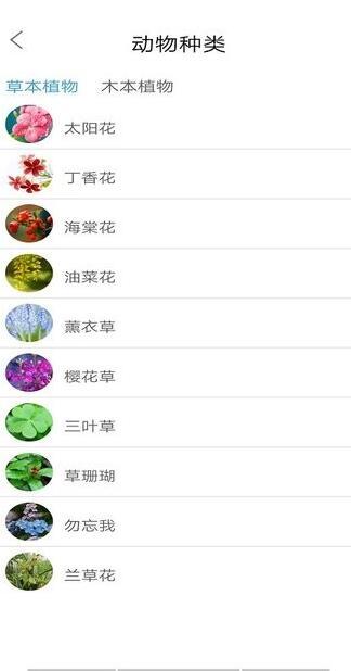 丛林宝典