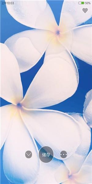 4K高清壁纸精灵1.0.2  v5.2.2