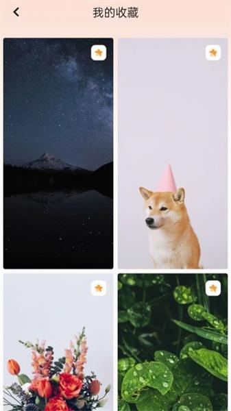 天天换壁纸  v5.0.3