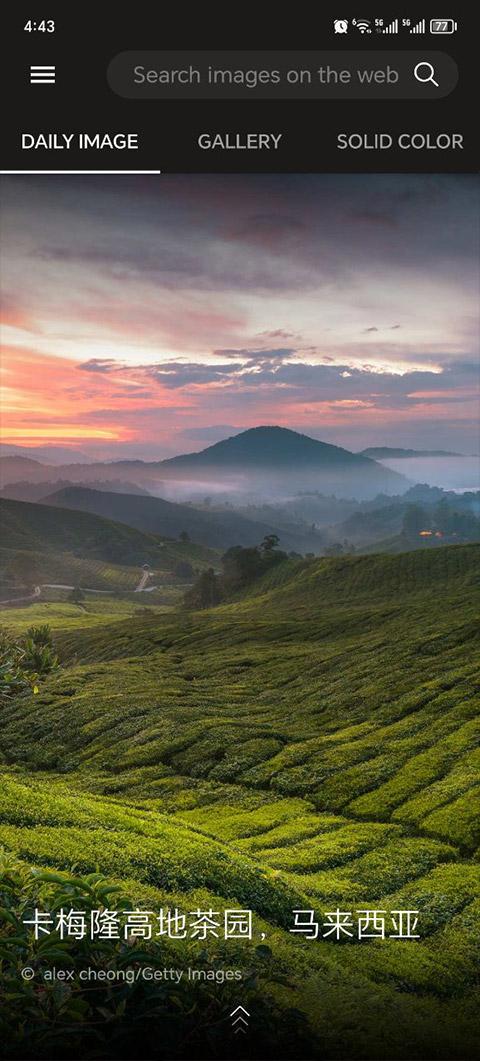 必应壁纸  v5.5.2