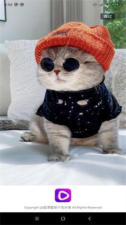 壁纸头像图片大全  v3.1.4