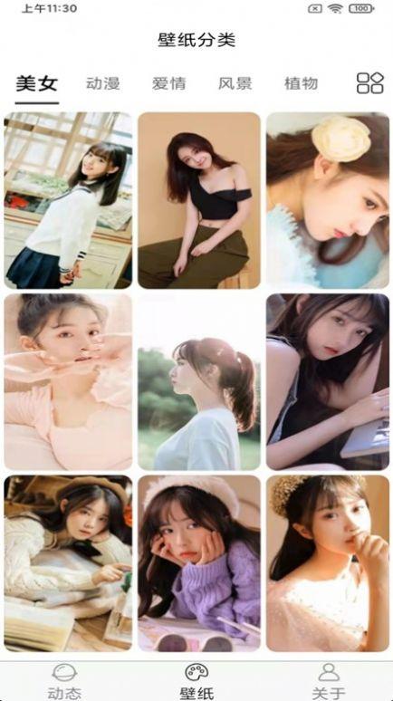 飞花动态壁纸  v5.4.2