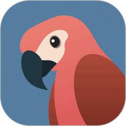 孤独的鸟治愈你