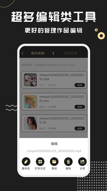 视频格式转换王下载介绍图