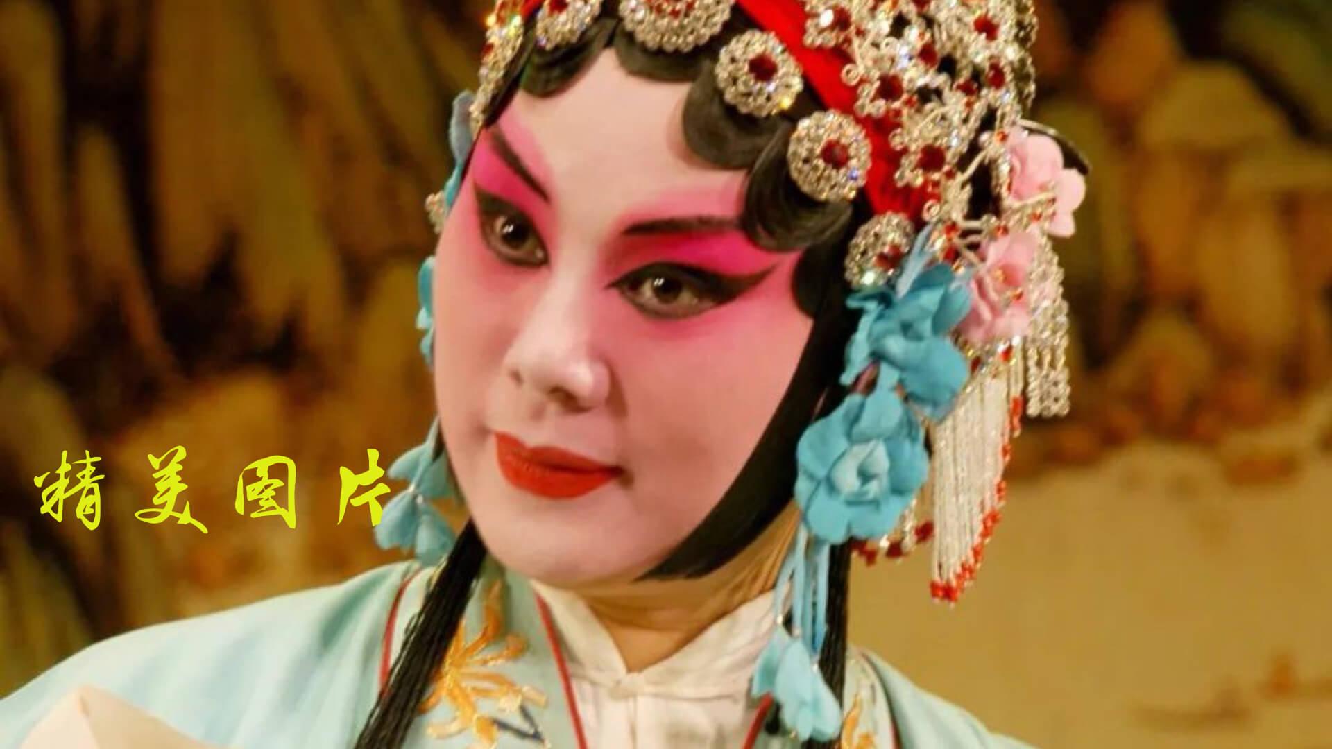豫剧迷下载介绍图