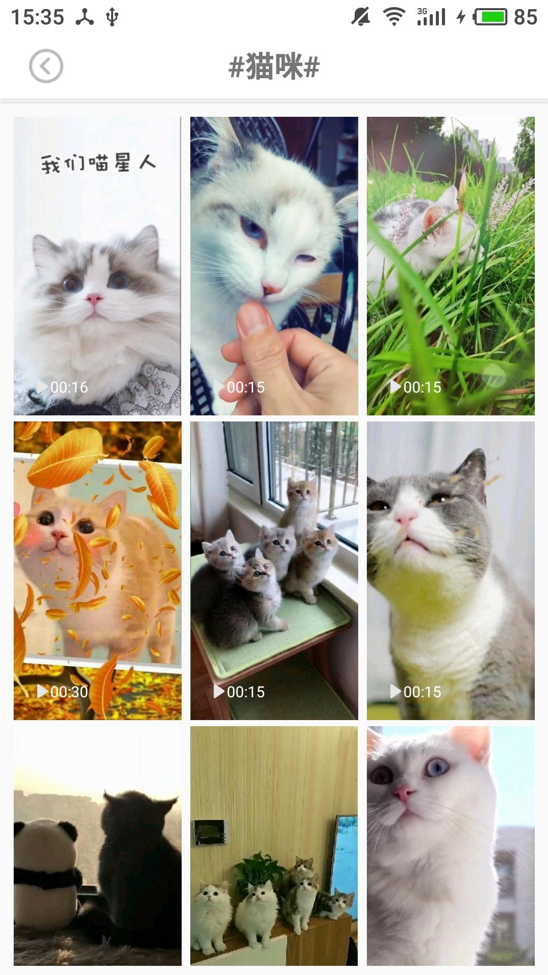 动态壁纸秀场 v5.3.1