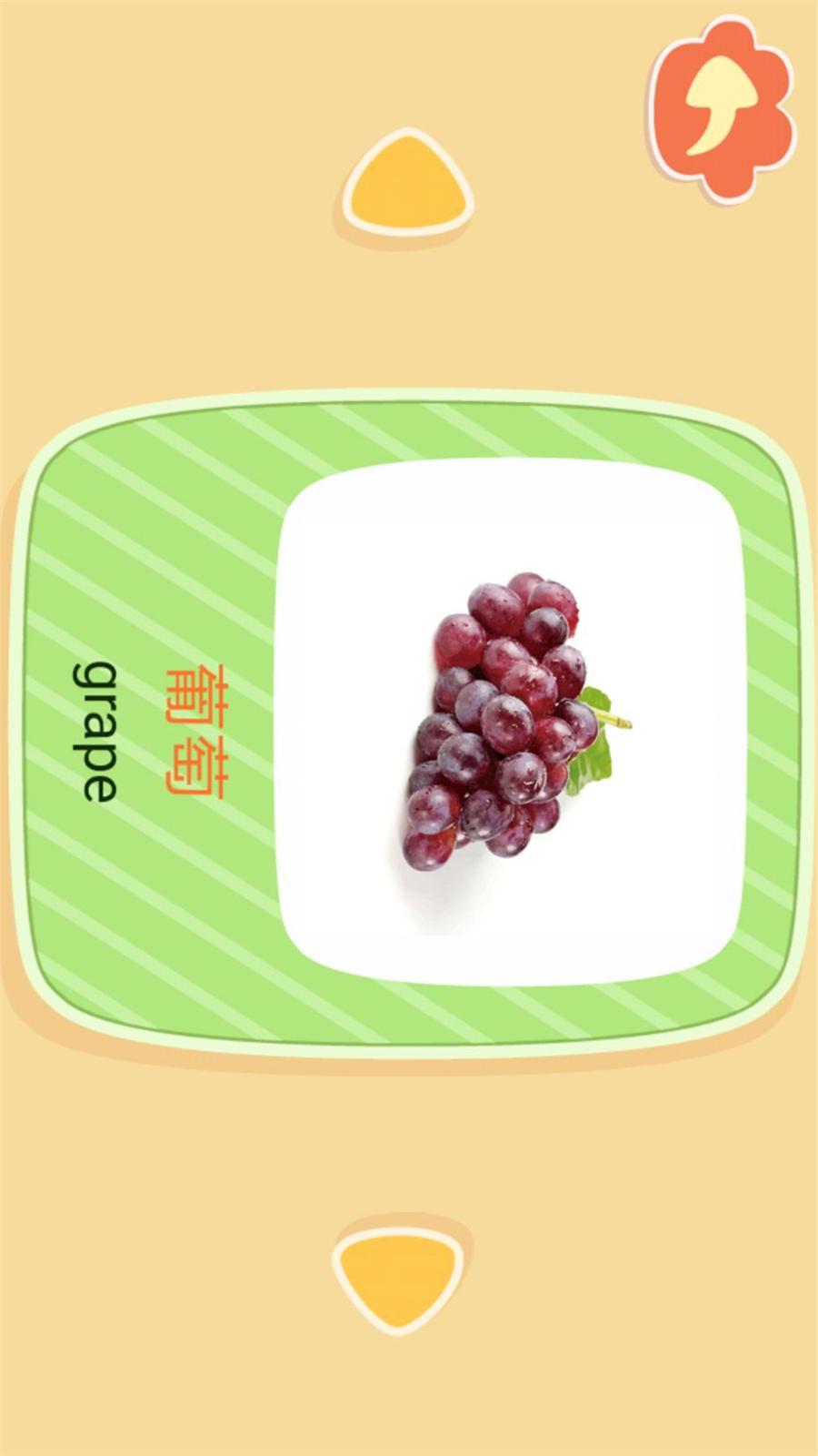 亲亲熊识字 v3.1.3