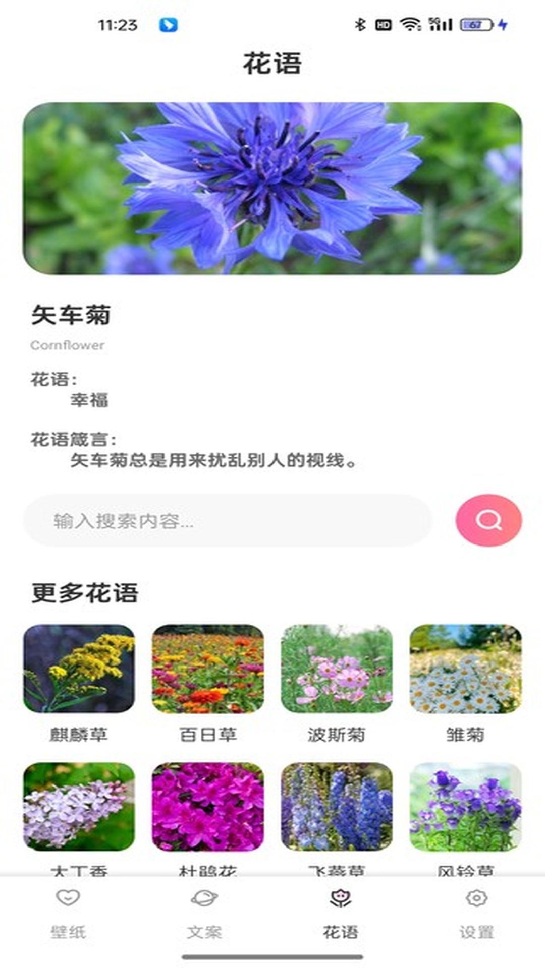 傲娇壁纸 v5.2.4