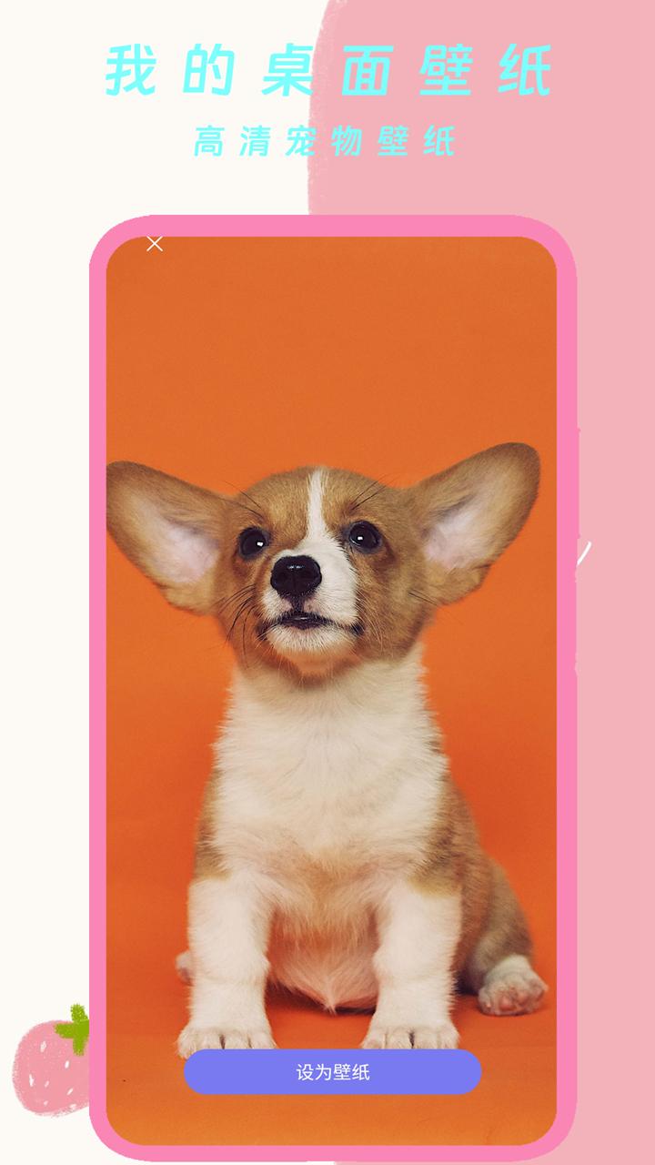 我的桌面壁纸 v6.4.2