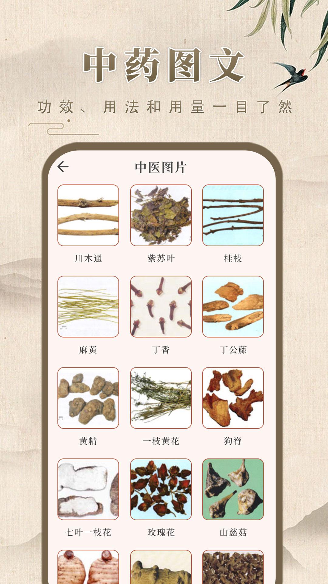 中药学下载介绍图
