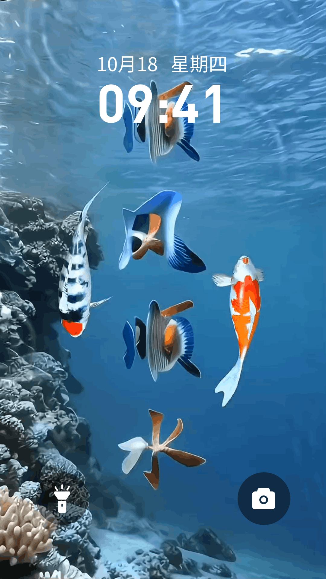 桌面养鱼壁纸下载介绍图