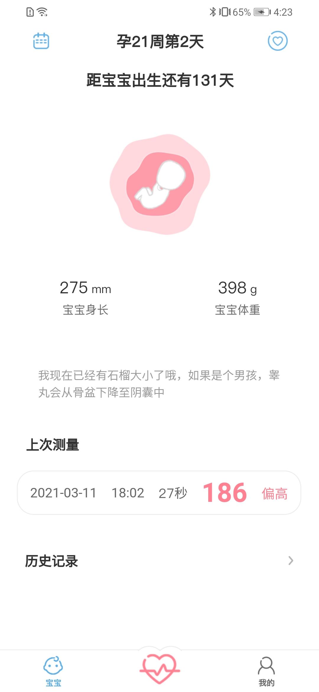 fetalheart胎心仪 v5.2.4