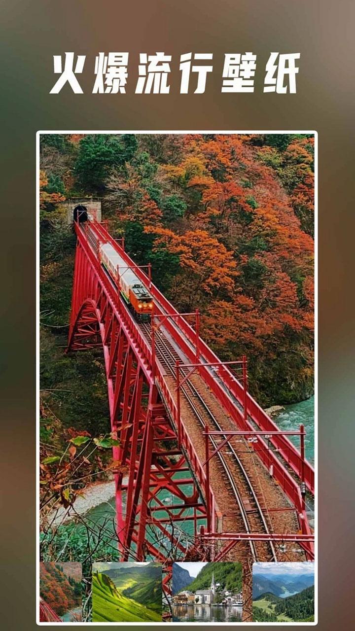 星野茆壁纸 v4.2.1